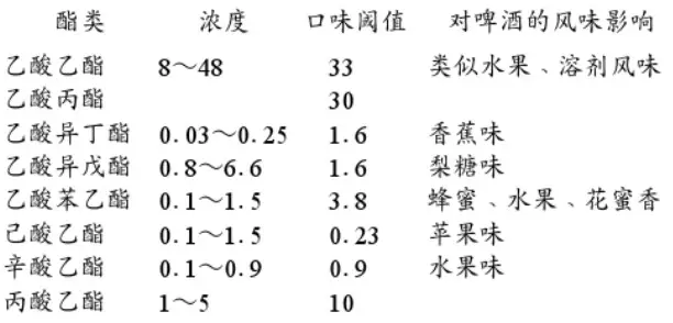 精釀啤酒設(shè)備,啤酒廠設(shè)備,開(kāi)辦啤酒廠,發(fā)酵，錐形罐